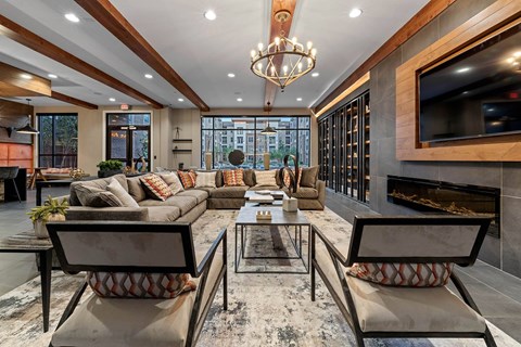 a living room with couches and a tv and a fireplace
